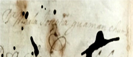 Firma